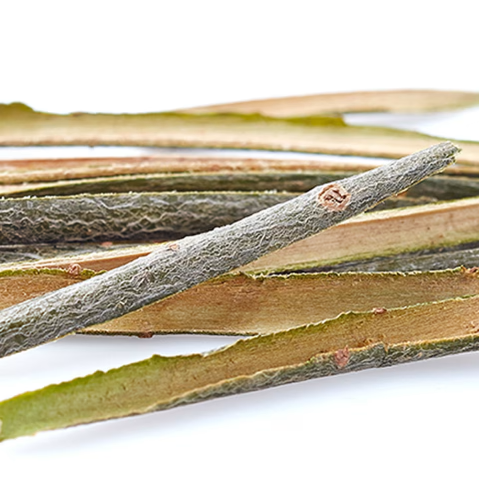 BHA Alternatives Coix Seed & Willow Bark