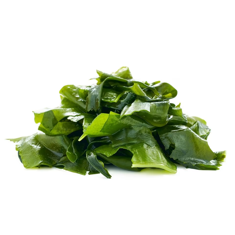 Sea Kelp (wakame)