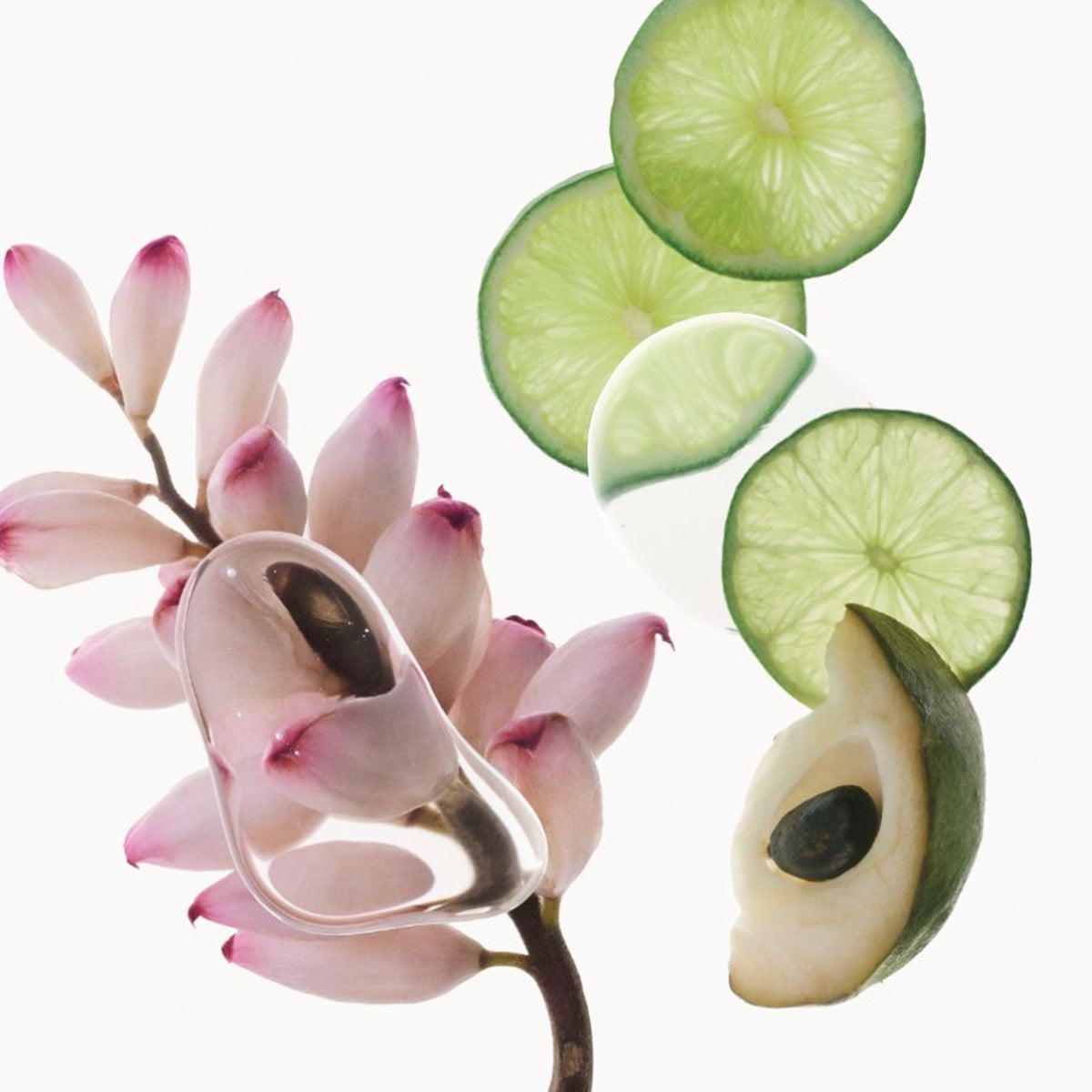 Okinawa Cellescence Complex