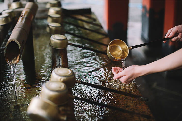TheRiceWash_Purification_750x500_1.jpg