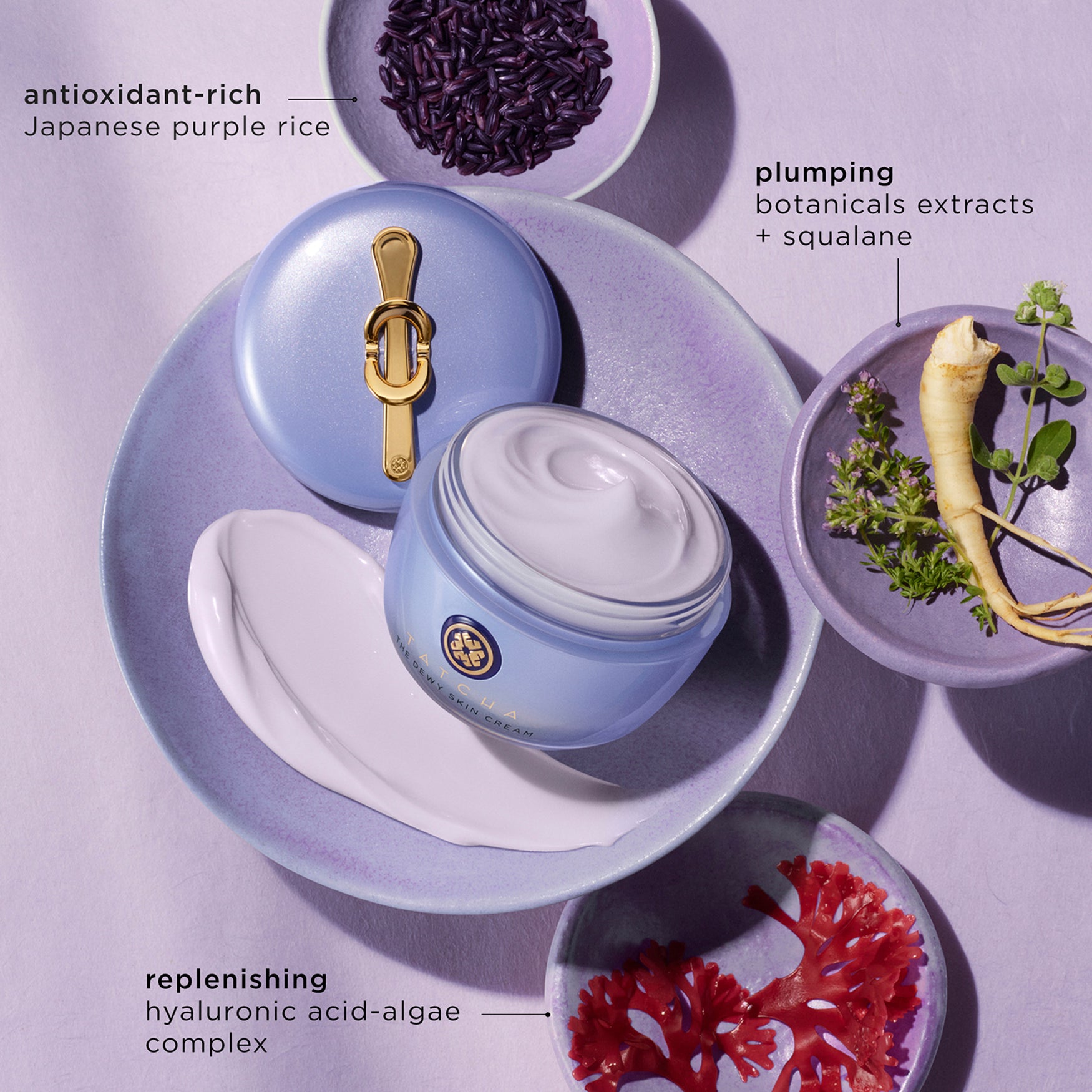 Tatcha UK | The Dewy Skin Cream