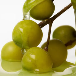 Japanese Tamanu Oil