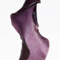 Volumising Peptide + Algae Complex