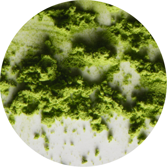 Japanese Ceremonial Grade Matcha Extract
