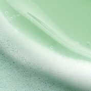 The Matcha Cleanse