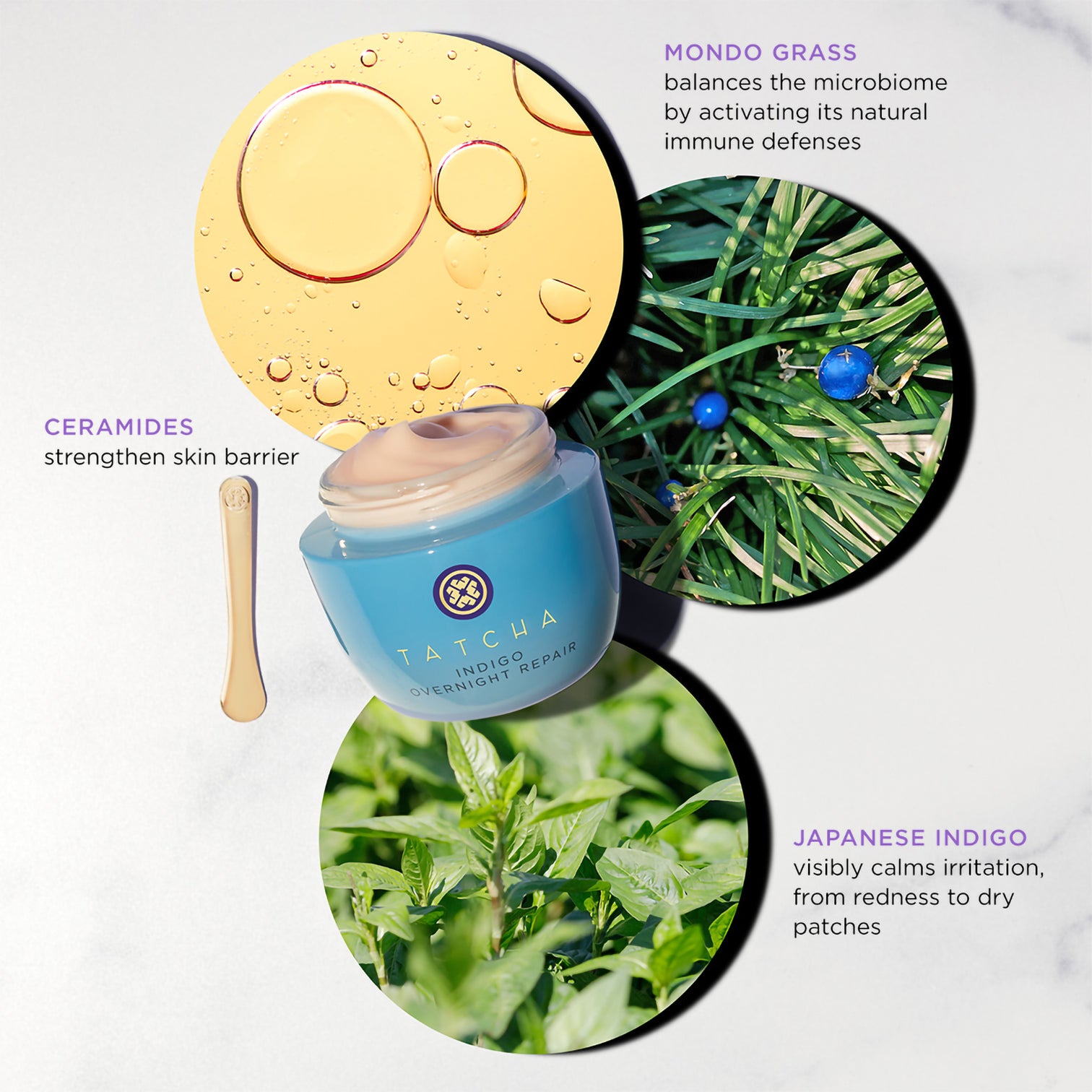 Japanese Beauty & Skincare Products | Tatcha