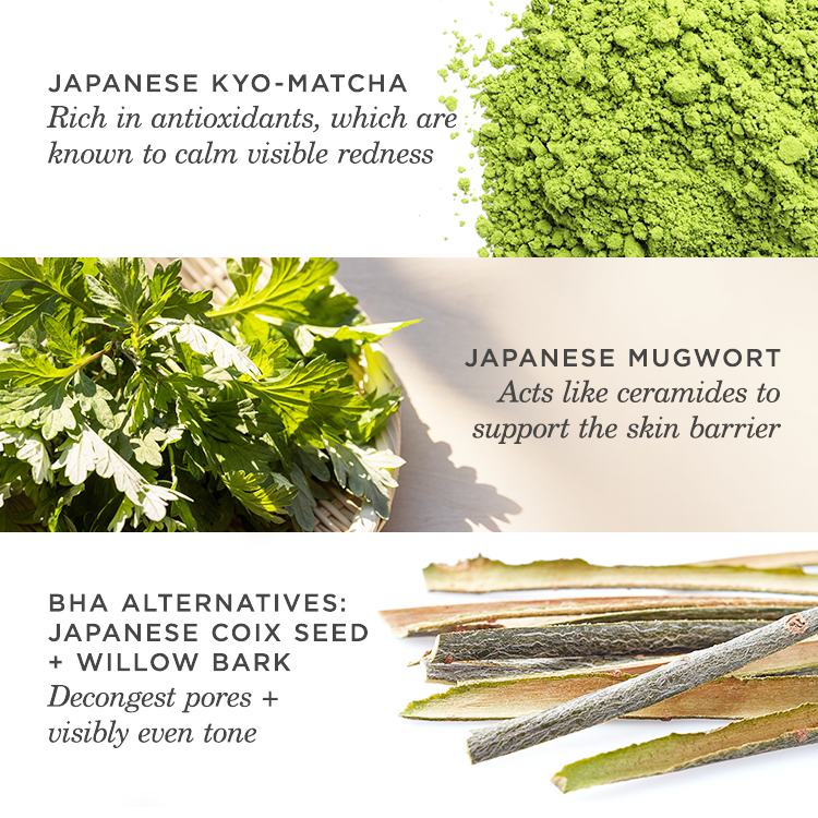 The Matcha Cleanse