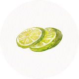 featureset3-lime.png
